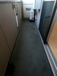 宇都宮大学陽東キャンパス駅 バス7分  雷電神社前下車：停歩9分 4階の物件内観写真